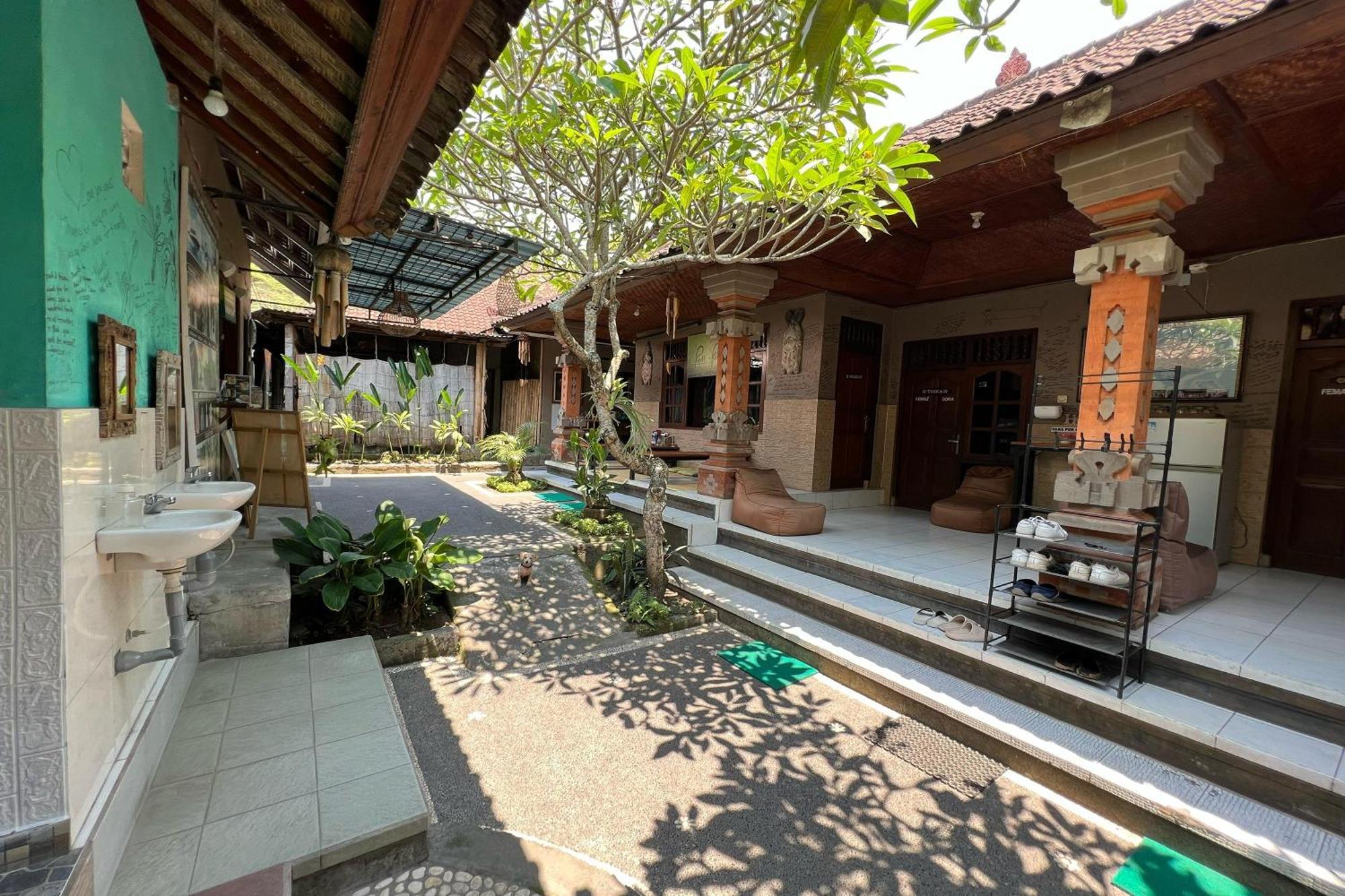 Padi-Padi Hostel & Bar Ubud Zewnętrze zdjęcie